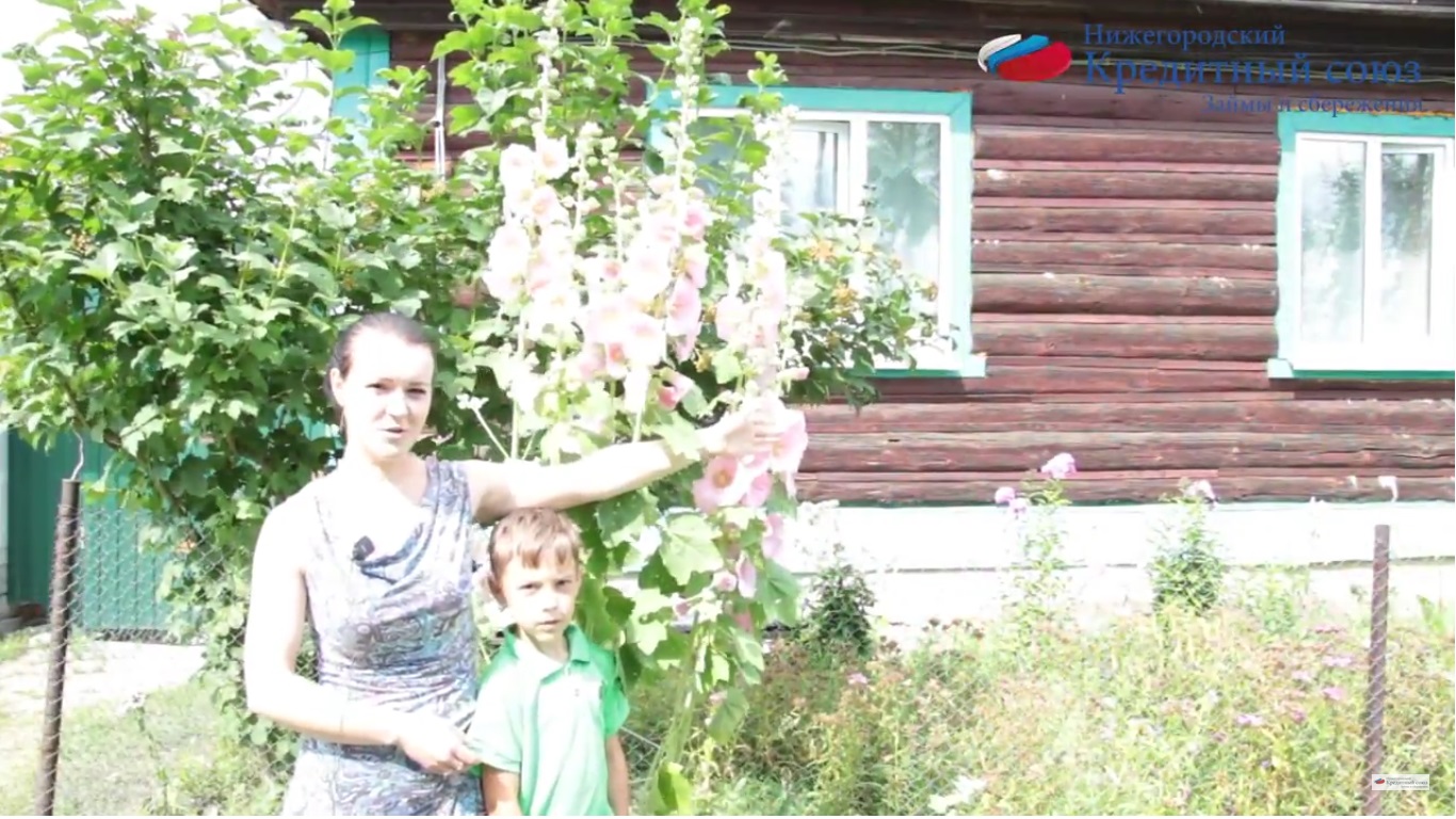Отзыв о Нижегородском кредитном союзе в Вязниках, заем под материнский капитал на покупку дома